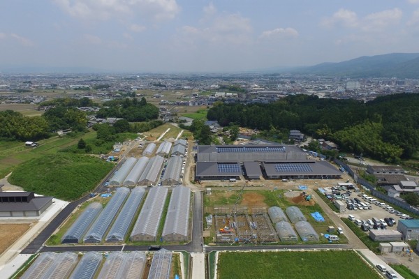 農業研修開発センター整備事業 ほ場整備工事（Ⅱ期工事）